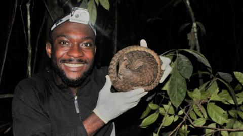 Charles Emogor, with a short black beard and a small white camera on his head. He is smiling at the camera and holding up a pangolin. The scaly mammal is curled around itself with its feet reaching its head and its tail wrapped around its body