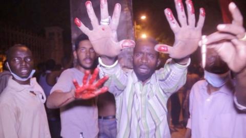 Sudan protesters hold up hands covered in blood