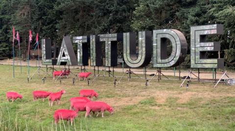 Eight sheep spray-painted pink grazing in front of a large mirrored sign which reads: Latitude