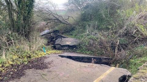 Lyneham Banks in Wiltshire. The road is wonky with fallen trees after a landslip.