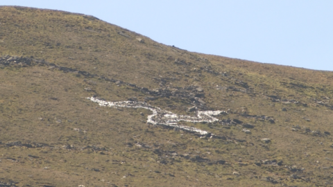 Three legs of Man symbol in North Barrule