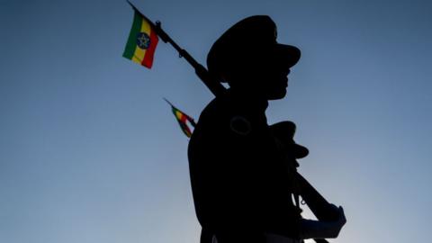 An Ethiopian military marching band plays at a ceremony in Addis Ababa, 7 November 2021.