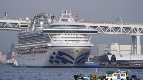 Diamond Princess in dock