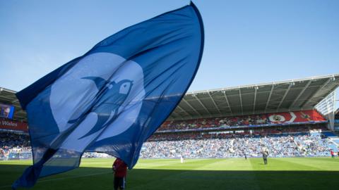 Cardiff City flag at stadium