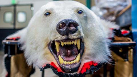 Stuffed bear head seized by law enforcement