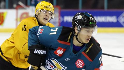 Belfast Giants took on Skelleftea AIK at the SSE Arena