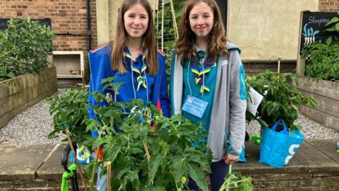 Sisters with tomato plants