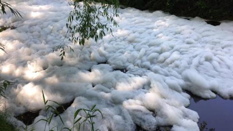 Foam in The River Great Ouse