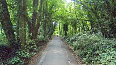 Hermit's Cave Woods, Tetbury