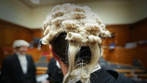 Back of a lawyer's head