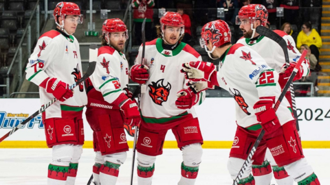 Cardiff Devils players