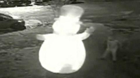 CCTV shows giant inflatable snowman