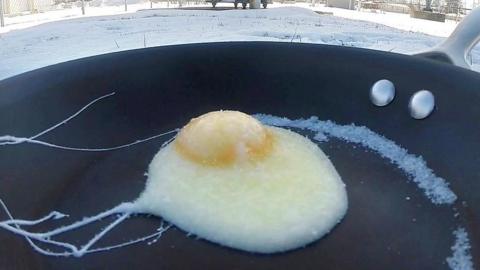 Frozen egg in the cold