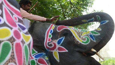 An elephant gives a two rupee coin to its Mahout or caretaker, offered by a devotee outside The Shree Vaibhav Laxmi Temple of Laxmi Mata Goddess Laxmi the symbol of wealth and prosperity, on the occasion of Dhanteras in Ahmedabad on November 1, 2013.