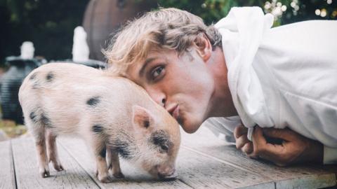 Logan Paul and Pearl as a piglet