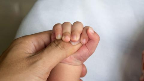 An adult's hand holding a baby's hand, which is gripping it 