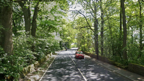 A car and a motorbike drive along a sun dappled road with tree on either side