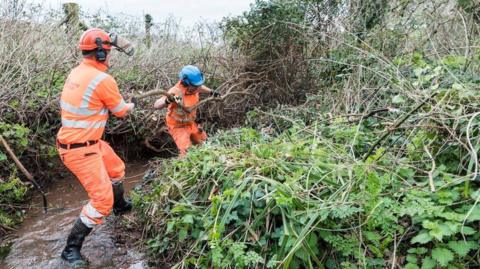 Workmen wearing orange high vis clothing and hard hats are shown clearing what appears to be a small stream. They are standing in running water and are moving a large branch. There is lots of green vegetation around the water. 