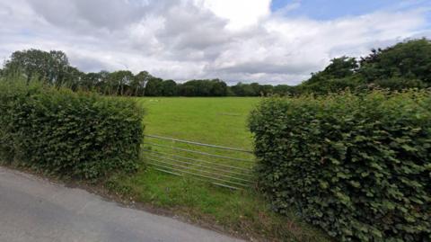 A screengrab taken from Google Maps showing the site location. The image has been taken on Old Bideford Road looking towards the field which is surrounded by large hedgerows. Inside the field is a flock of sheep.