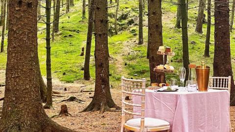 Table set for tea-for-two in remote woodland in the Lake District