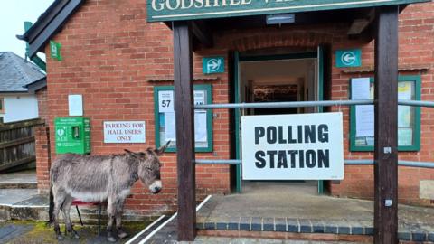 Donkey outside a polling station in the New Forest