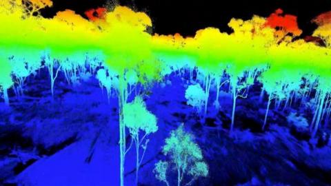 Laser-scanned tropical forest (c) Kim Calders/NPL/UCL