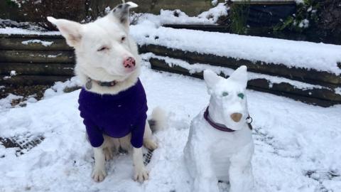 Gael with her frosty friend in Portishead