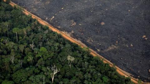 An aerial view shows a deforested plot of the Amazon near Porto Velho on 17 September 2019