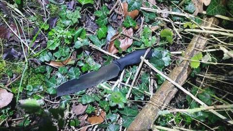 A large knife with a black handle inside a bush. It is amongst green leaves and sticks.