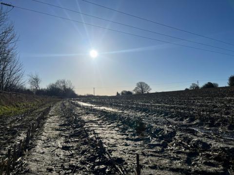 A muddy field with a blue sky and bright Sun