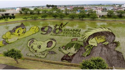 Manga artist Osamu Tezuka's most famous characters are created in a Japanese rice field