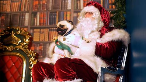 Santa and dog