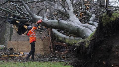 Workers remove a tree that fell on an electricity substation on the Kinnaird estate in Larbert during Storm Isha on Sunday