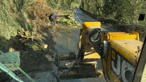 The view from the JCB telehandler cab shows a man in overalls bending down over a thick tree trunk on the verge of a road. The left carriageway is obscured by broken trunks and branches.