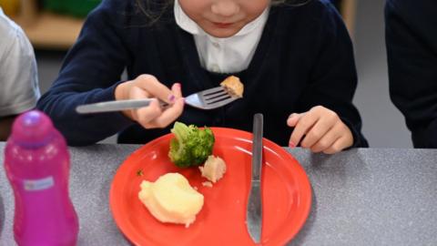 A pupil eats a cooked hot dinner (generic)