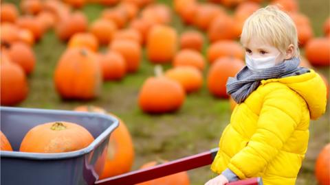 Little boy with mask on in pumpkin patch