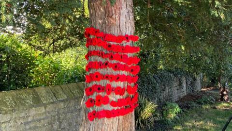 Poppies on a tree