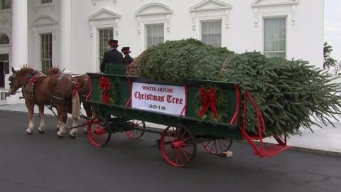 Christmas tree arrives at White House