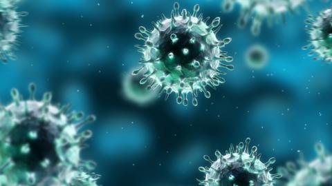 The H1N1 virus