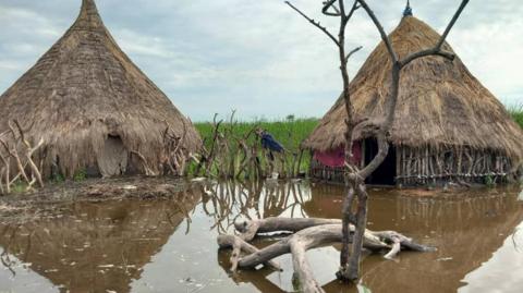 Two thatched homes, next to each other, partly submerged in muddy floodwater in which their reflections can be seen. Tall green grass is in the background.