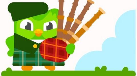 Duolingo Gaelic logo