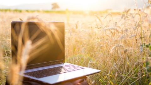 Laptop in field