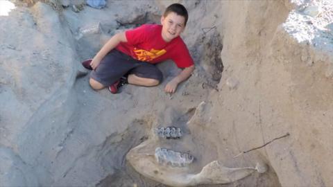 Boy poses with fossil he discovered in New Mexico