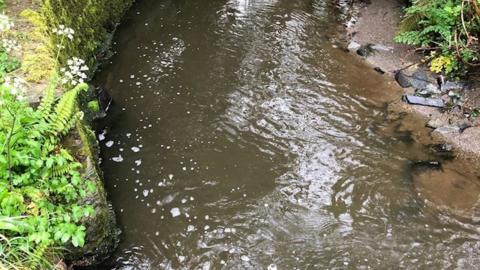 Slurry spill in the Afon Dyfan tributary