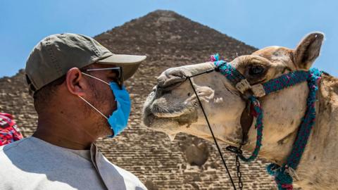 A camel guide stands in front of the Great Pyramid at Giza, Egypt (1 July 2020)