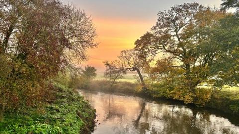 green and brown trees losing their leaves either side of river, a misty sunrise with yellow and peach coloured sky