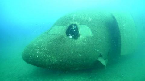 A diver in the front of a plane under the sea