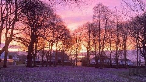 Corsehill Gardens at sunrise