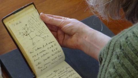 Dr Jessica Gardner handling the Charles Darwin notebook, open at the page showing his tree of life sketch