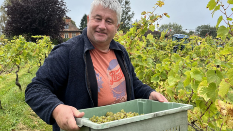 A man holding a basket full of grapes